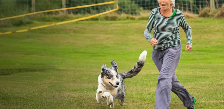 Adult movement therapy