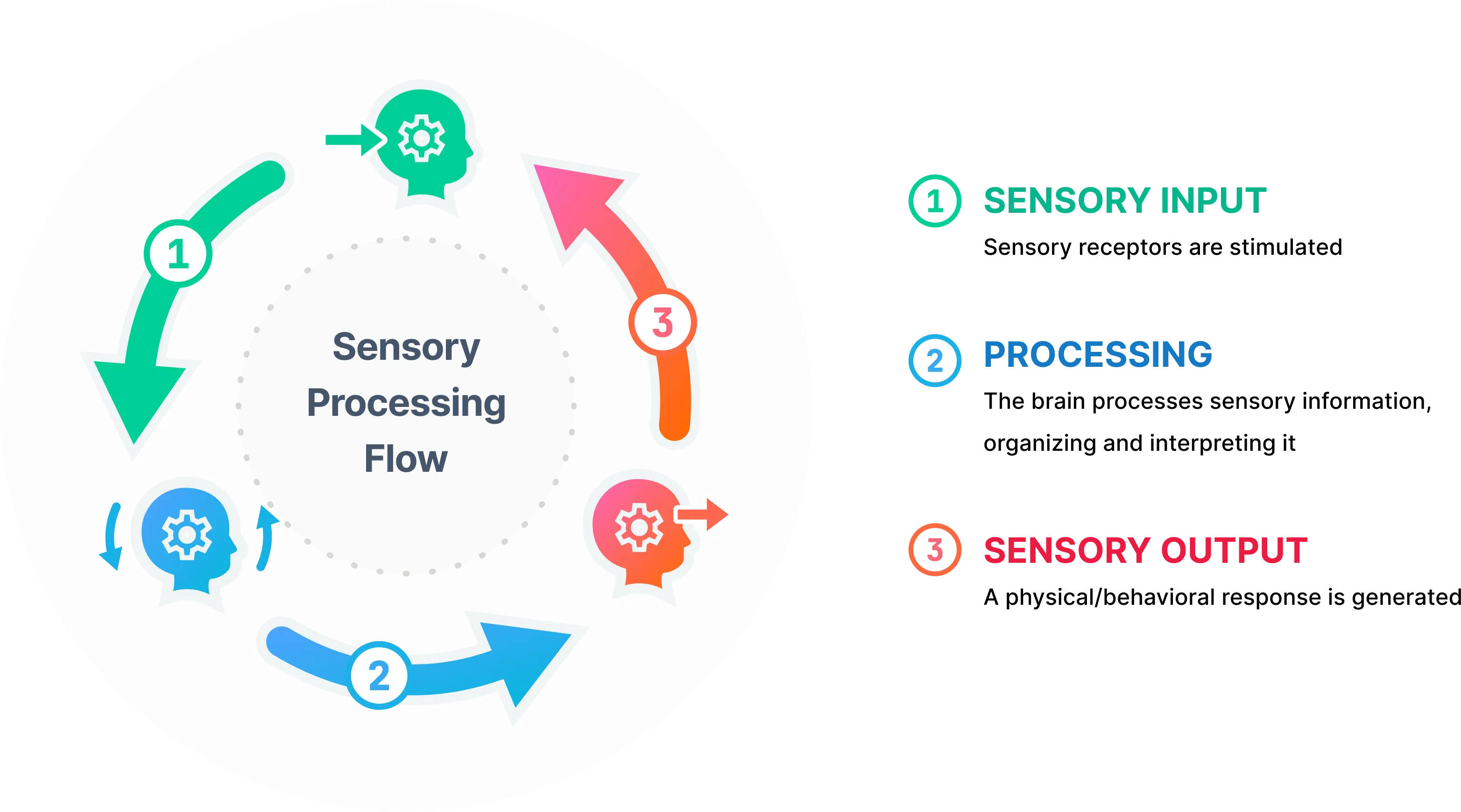Sensory Processing Flow